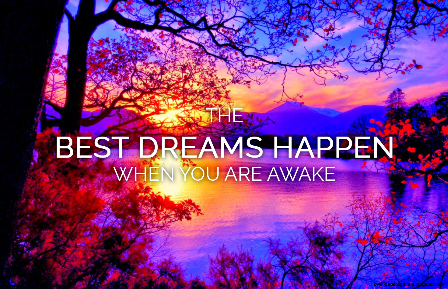 The Best Dreams Happen When You Are Awake