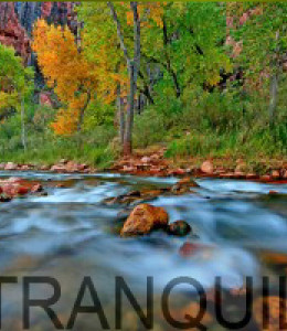 thumb_2121185991_3161d4a80e