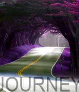 thumb_journey
