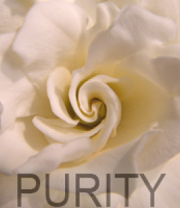 thumb_purity