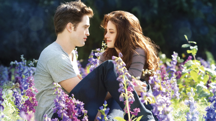 Twilight Saga Twilight's Robert & Kristen Love Story