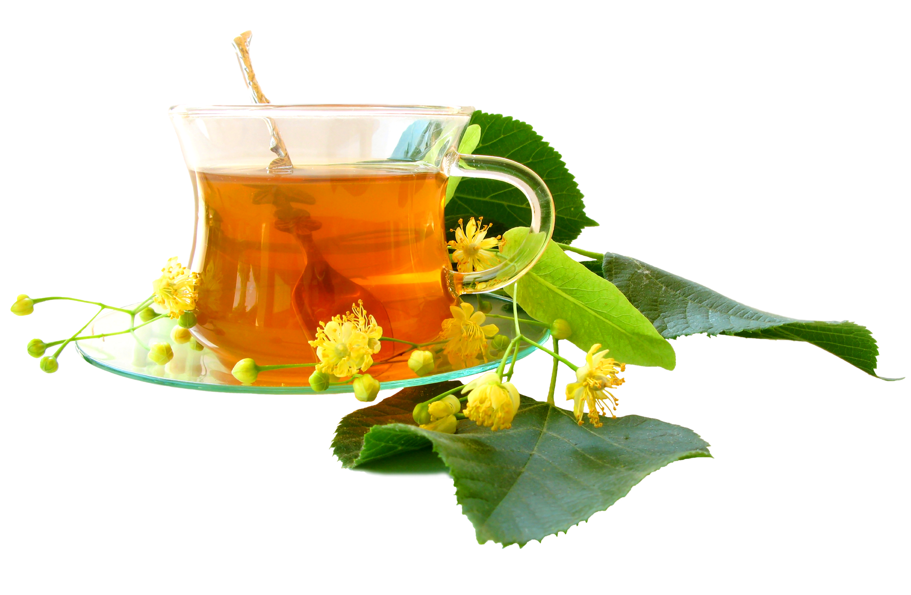 Green tea png with cup
