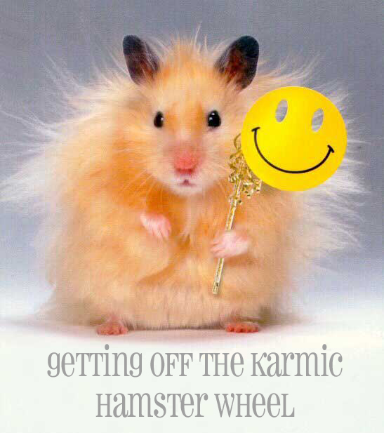 hamster with mask Magical Weight Loss - Deidre Madsen