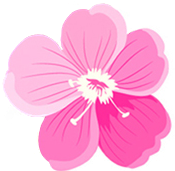 pink flower HIA 4sm
