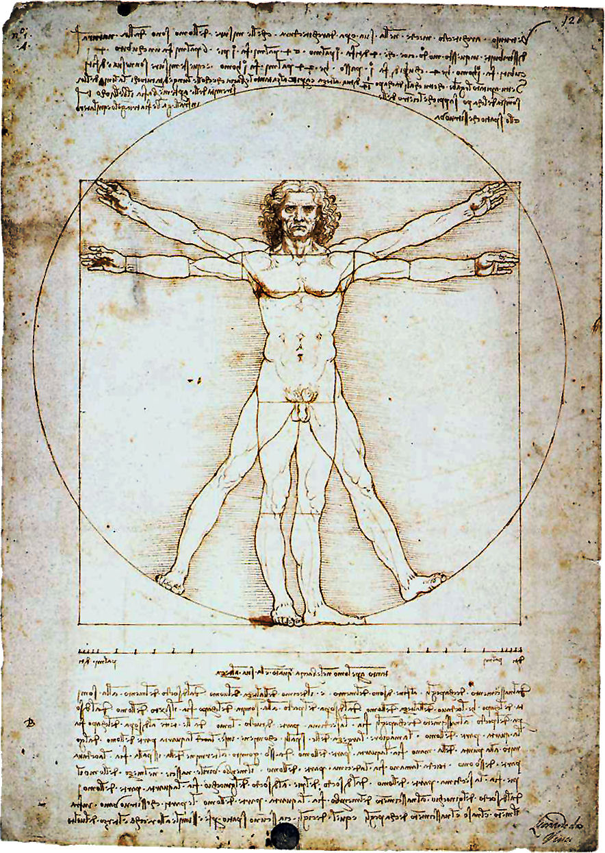vitruvian